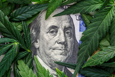 How Hemp and CBD are Revolutionizing the World We Live in Today
