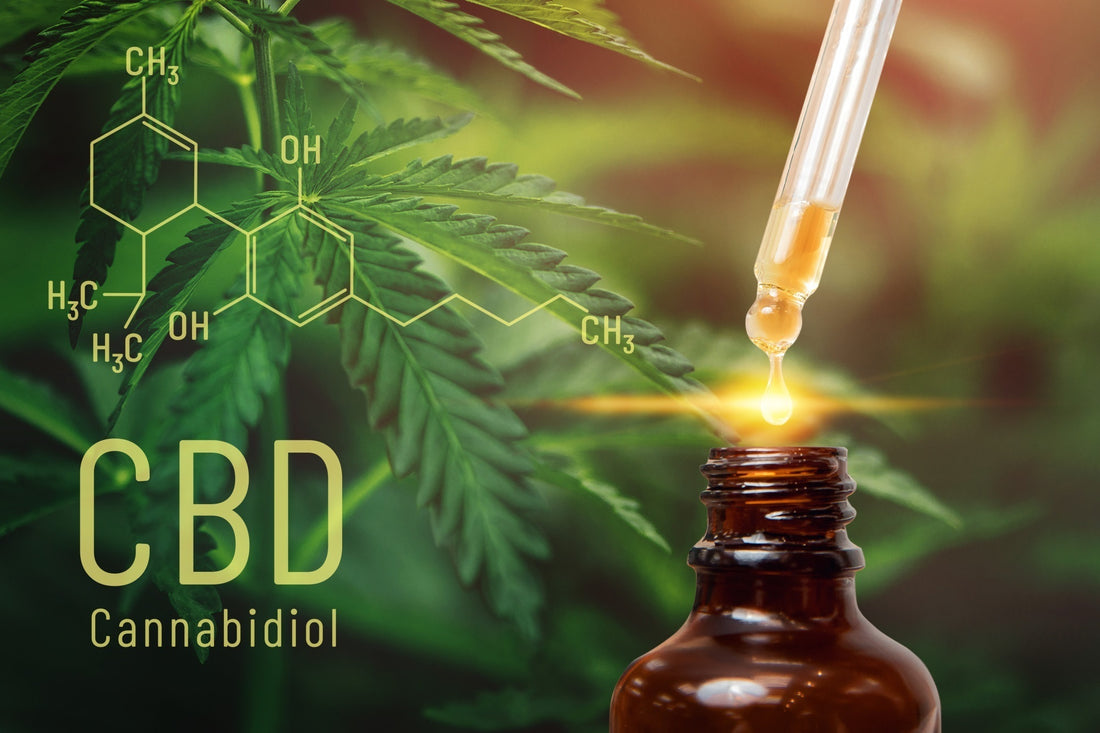 What Is The Most Difficult Part About Starting a CBD Business You Ask?