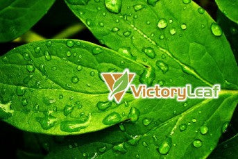 Victory Leaf Product Launch