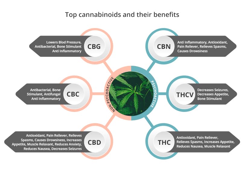 Cannabinoids: Differences Between CBD vs CBG, CBN, CBC
